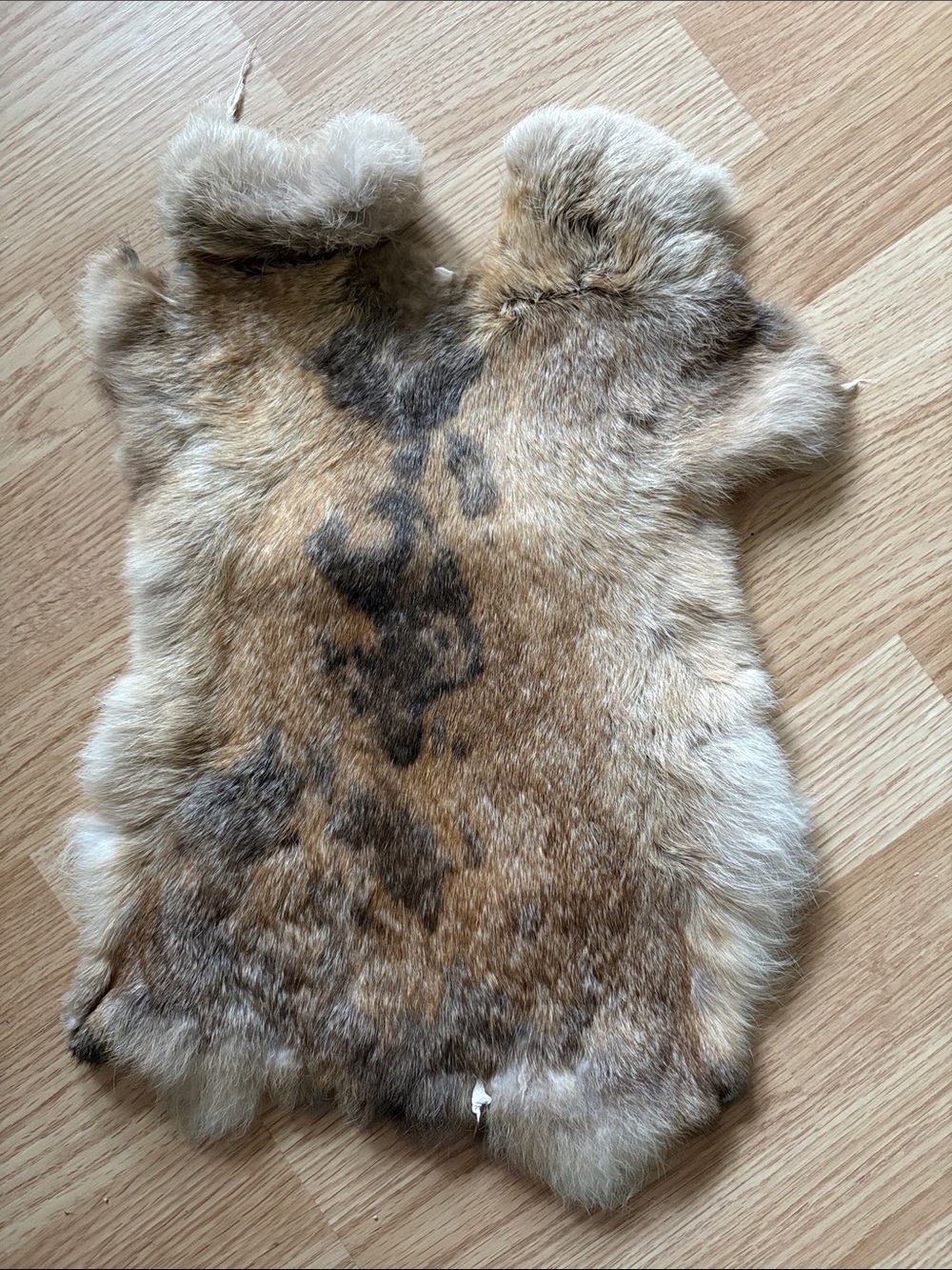 B0255 rabbit fur pelt